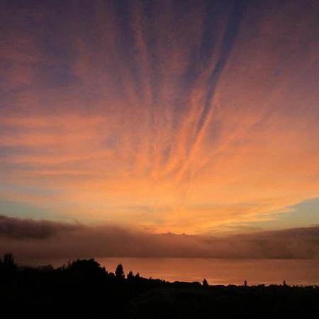 Te Moenga Lodge Taupo Bagian luar foto